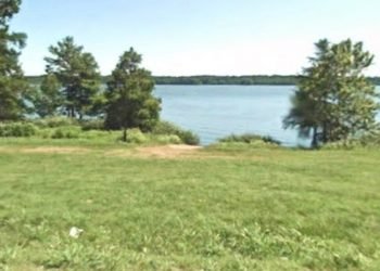 Grassy are and small trees overlooking the water during the day. 