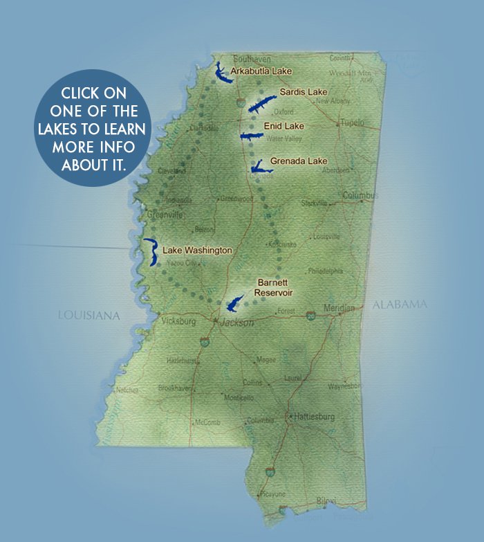 Green outline and map of Mississippi against blue background