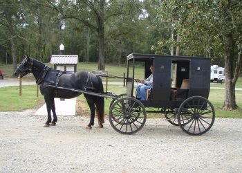 horse and carriage from ford's well campground 