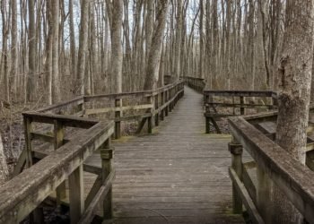 Long wooden bridge with wide areas to pause and take in the view. 