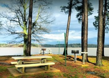 photo of picnic tables at Dub Patton Recreation Area