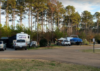 Campers and cars at Goshen campground 