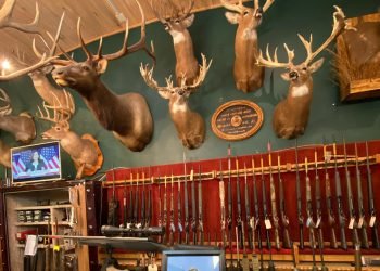 Dark green wall with mounted bucks and guns behind a display case