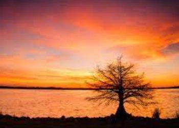 Sunset over the water at Pelahatchie Shore Park 