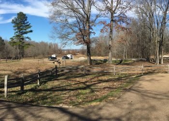 Large grassy areas with wooden fences and trucks with campers, underneath a blue sky. 