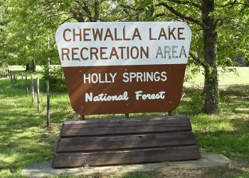 Brown and white sign that reads "Chewella Lake Recreation Area" in front of green trees and grass