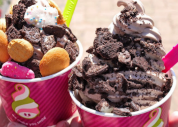 Frozen Yogurt from Menchies 