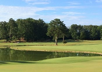 Green golf course with trees and a blue sky in the background. 